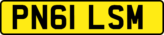 PN61LSM