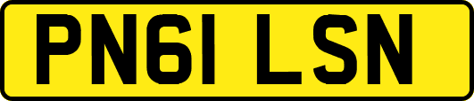 PN61LSN