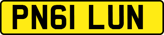 PN61LUN