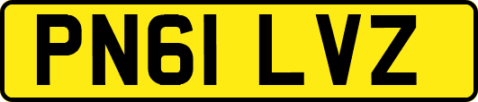 PN61LVZ