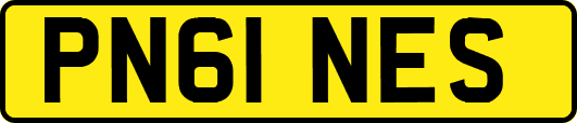 PN61NES