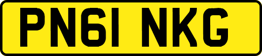 PN61NKG