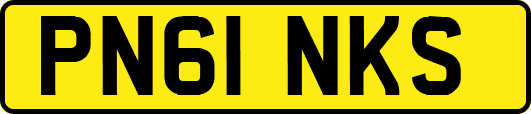 PN61NKS