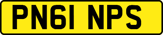 PN61NPS