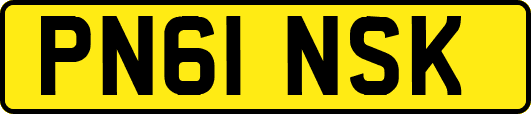 PN61NSK