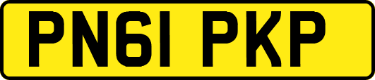 PN61PKP