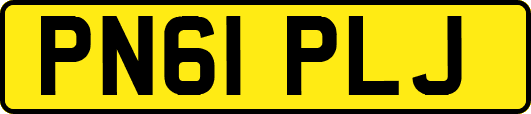 PN61PLJ