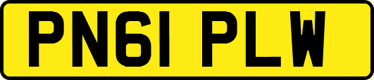 PN61PLW