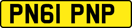 PN61PNP