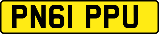 PN61PPU