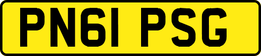 PN61PSG