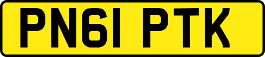 PN61PTK