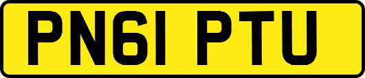 PN61PTU