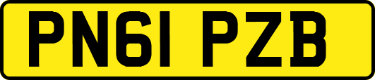 PN61PZB