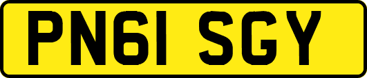 PN61SGY