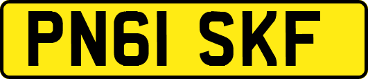 PN61SKF