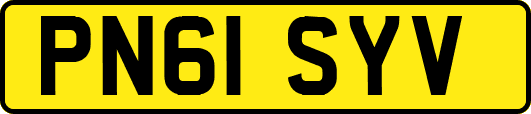 PN61SYV