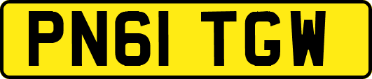 PN61TGW