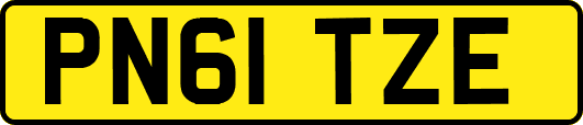 PN61TZE