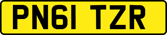PN61TZR