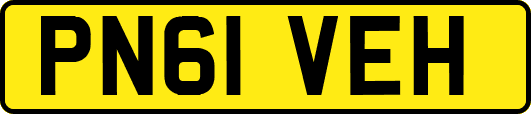 PN61VEH