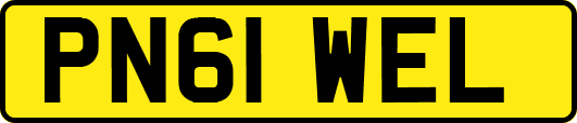 PN61WEL