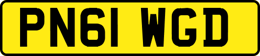 PN61WGD