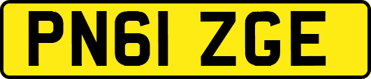 PN61ZGE