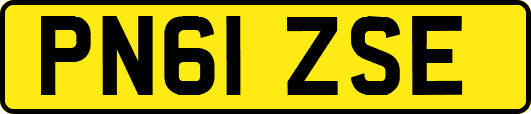 PN61ZSE