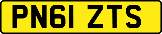 PN61ZTS