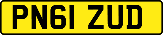 PN61ZUD