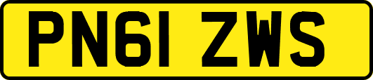 PN61ZWS