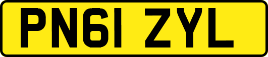 PN61ZYL