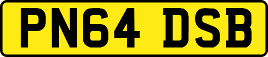 PN64DSB