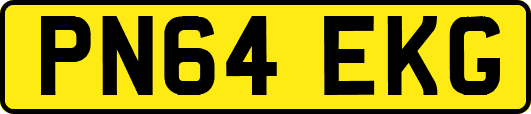 PN64EKG