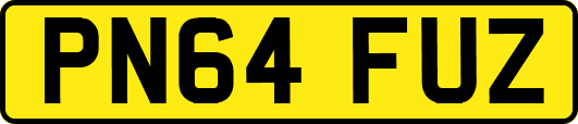 PN64FUZ