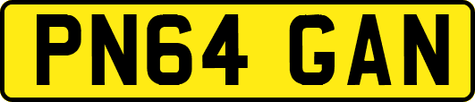PN64GAN