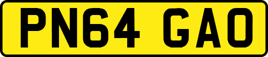 PN64GAO