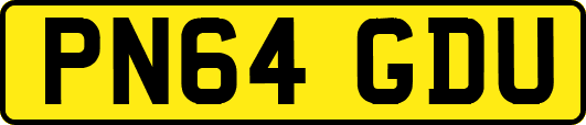 PN64GDU
