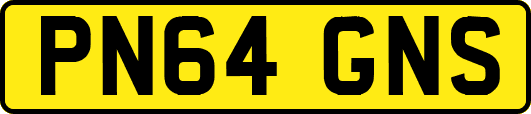 PN64GNS