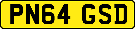 PN64GSD