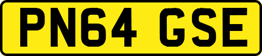 PN64GSE