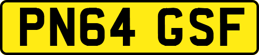 PN64GSF