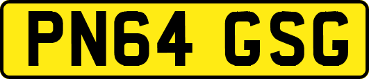 PN64GSG