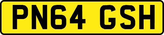 PN64GSH