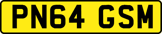 PN64GSM