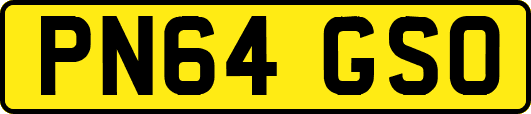 PN64GSO