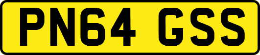 PN64GSS