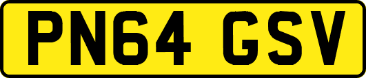 PN64GSV