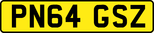 PN64GSZ